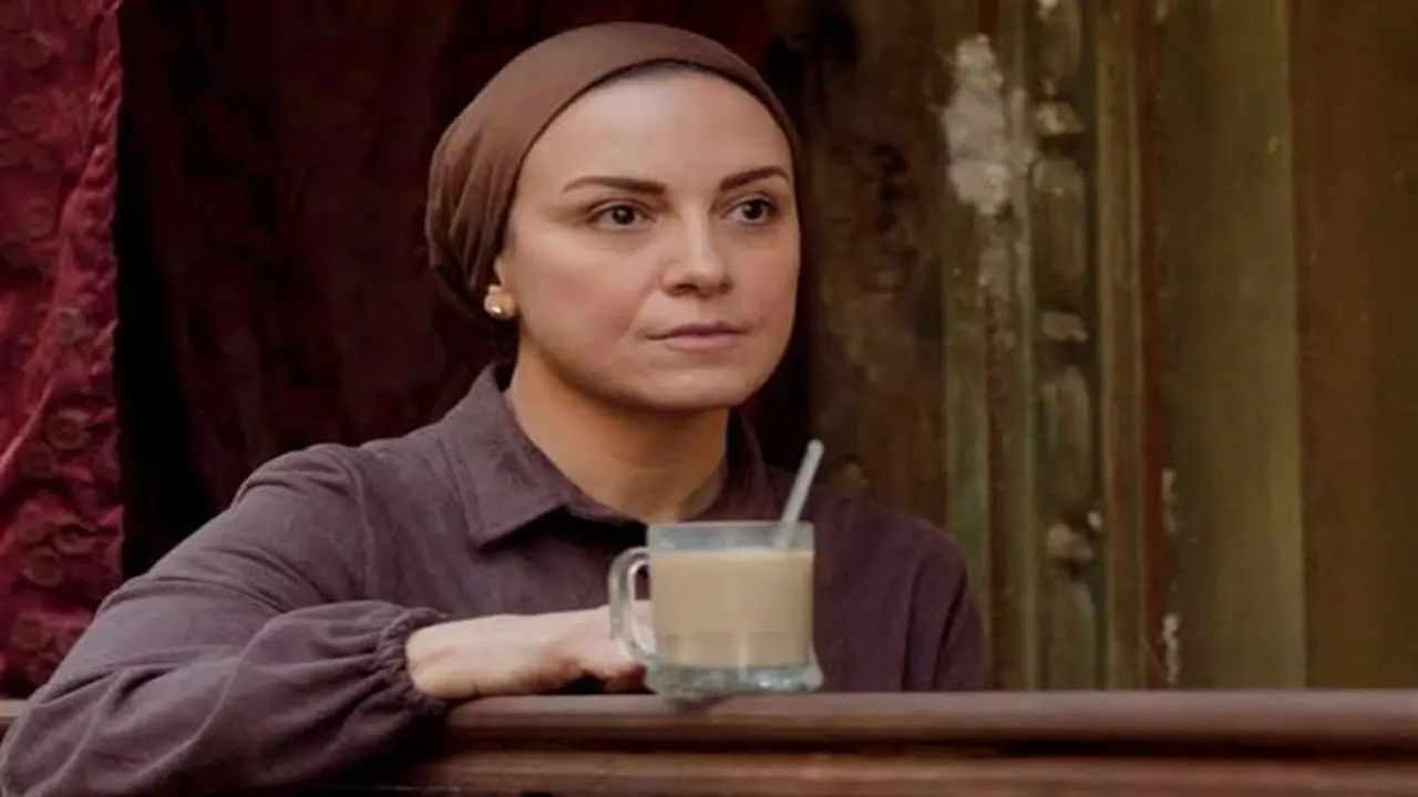 موعد عرض الحلقة الأخيرة من مسلسل حكاية نرجس على قناتي الحياة وDMC